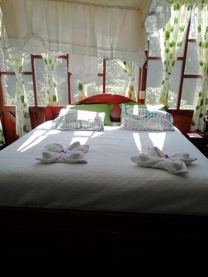 Yarina Eco Lodge Derna エクステリア 写真