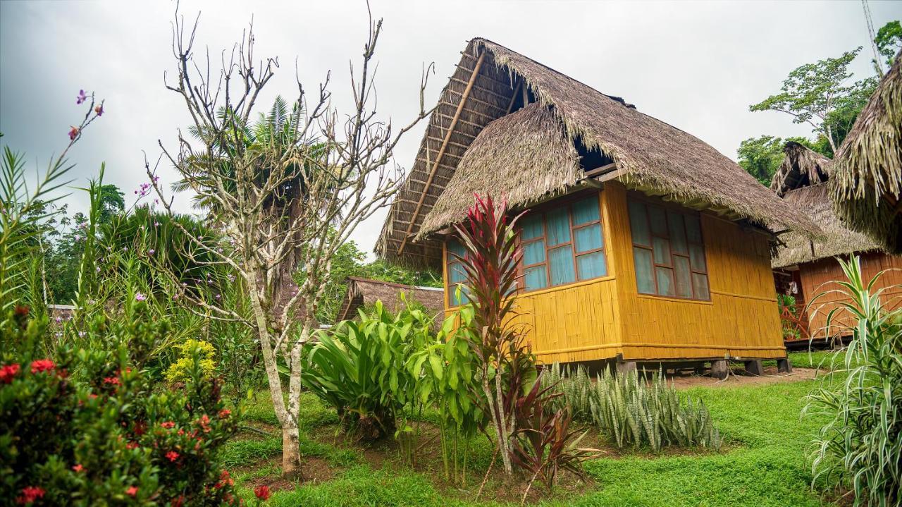 Yarina Eco Lodge Derna エクステリア 写真