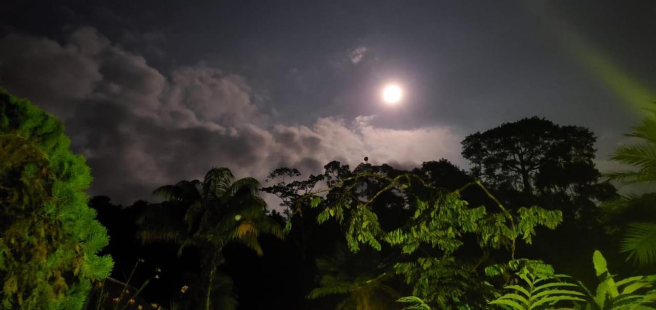 Yarina Eco Lodge Derna エクステリア 写真