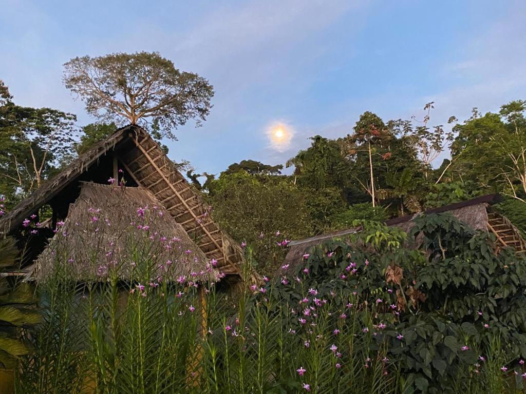 Yarina Eco Lodge Derna エクステリア 写真